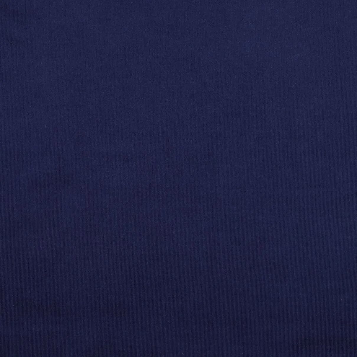 21 Wale Cotton Needlecord in Marine Blue