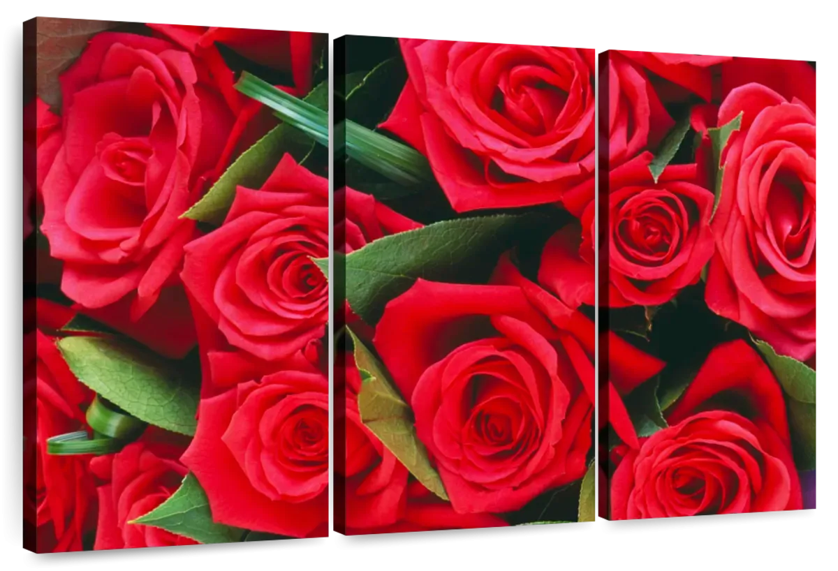 A Bouquet Of Red Roses II Wall Art