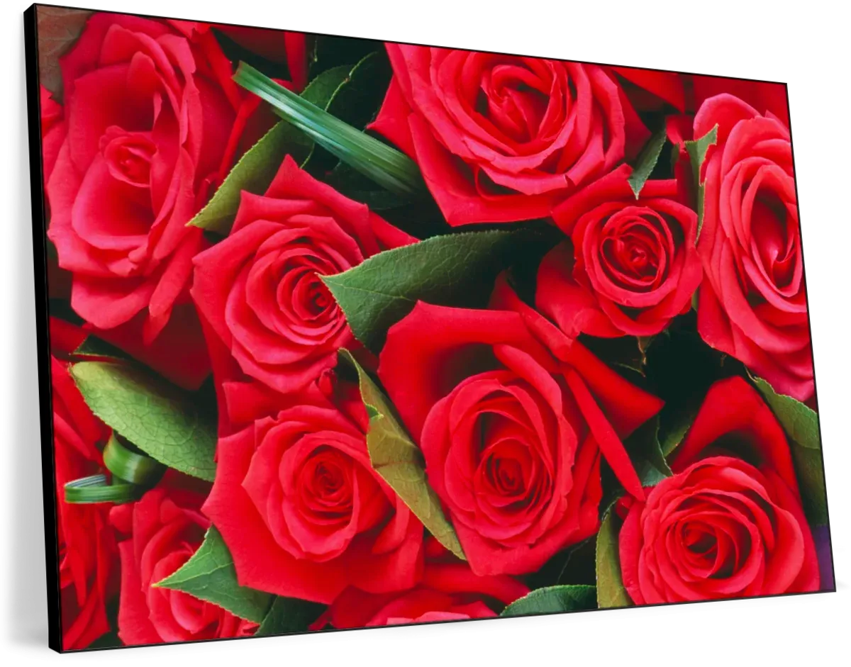 A Bouquet Of Red Roses II Wall Art