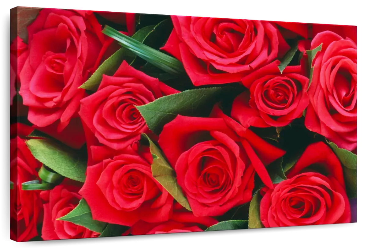 A Bouquet Of Red Roses II Wall Art