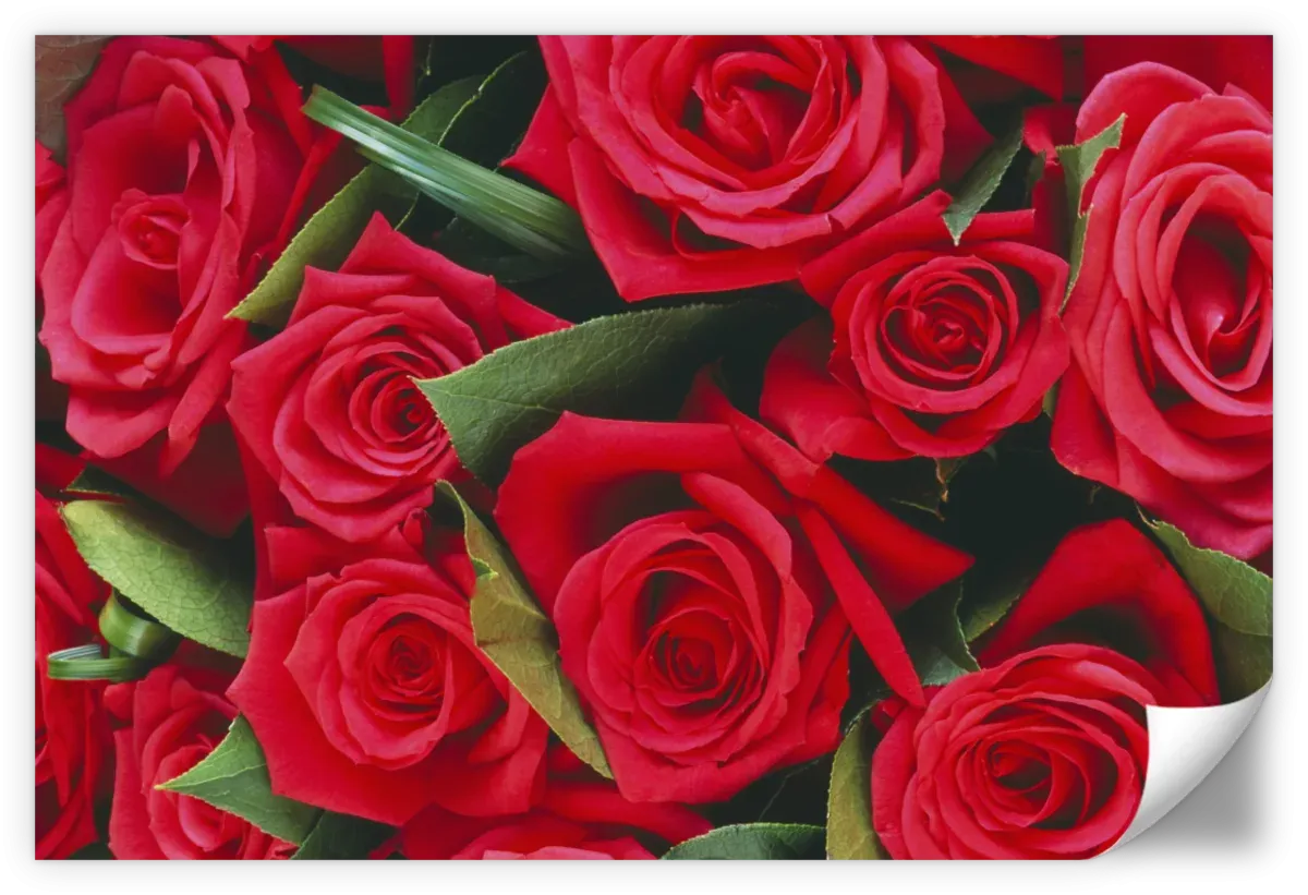 A Bouquet Of Red Roses II Wall Art