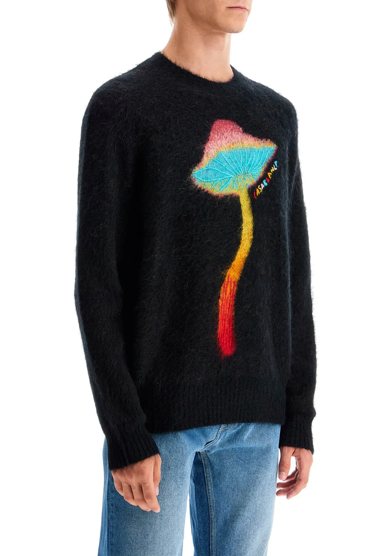 CASABLANCA rainbow mushroom sweater