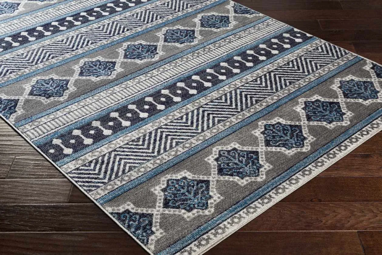 Quoispel Transitional Area Rug