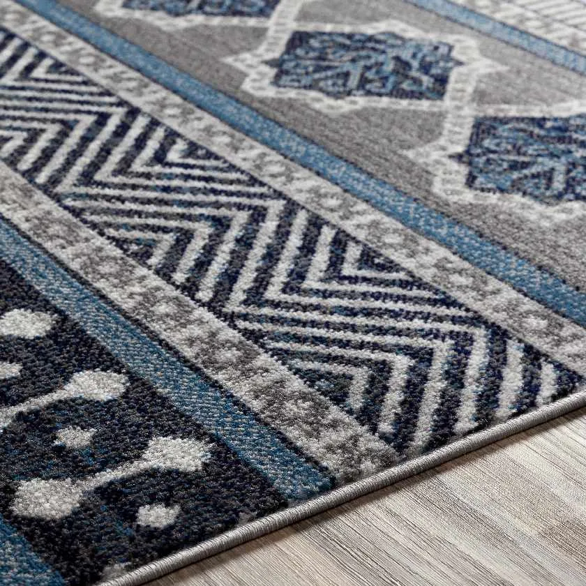 Quoispel Transitional Area Rug