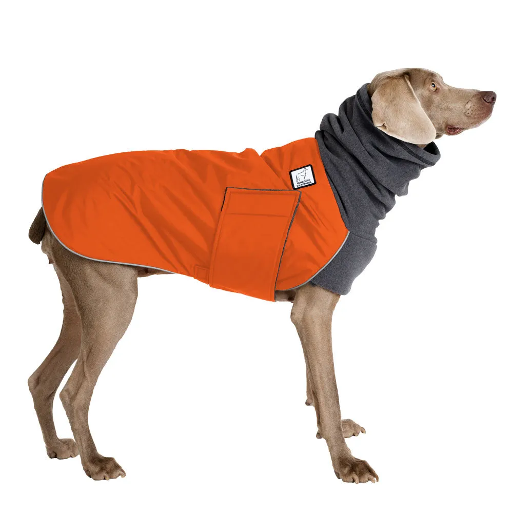 Weimaraner Winter Coat